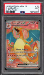 Auction visual on GCC