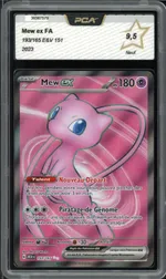 Auction visual on GCC