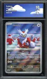 Auction visual on GCC