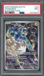 Auction visual on GCC