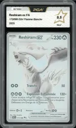 Auction visual on GCC