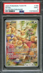 Auction visual on GCC