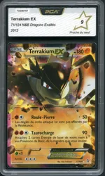 Auction visual on GCC