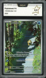 GCC marketplace card visual