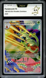 Auction visual on GCC