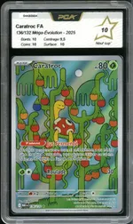 Auction visual on GCC
