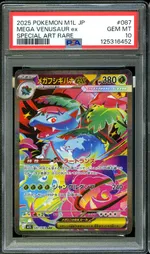 Auction visual on GCC