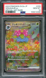 Auction visual on GCC