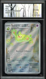 Auction visual on GCC