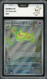 Auction visual on GCC