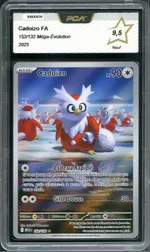 Auction visual on GCC