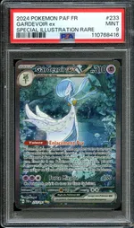 Auction visual on GCC
