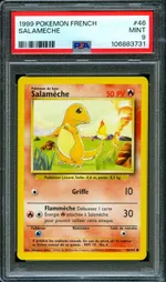 Auction visual on GCC