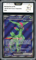 Auction visual on GCC