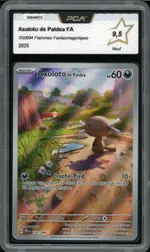 Auction visual on GCC