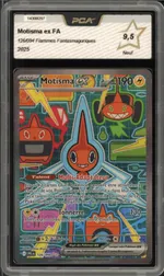 Auction visual on GCC