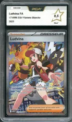 Auction visual on GCC