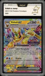 Auction visual on GCC