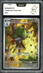 Auction visual on GCC