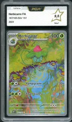 Auction visual on GCC