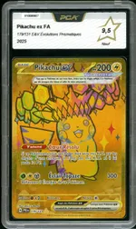 Auction visual on GCC