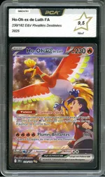 Auction visual on GCC