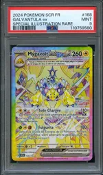 Auction visual on GCC