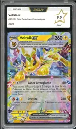 Auction visual on GCC