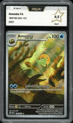 Auction visual on GCC