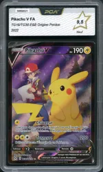 Auction visual on GCC