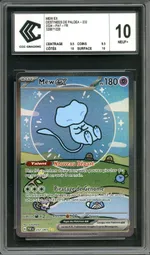 Auction visual on GCC