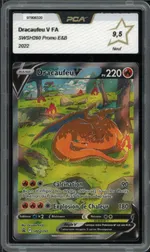 Auction visual on GCC