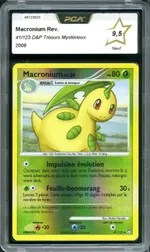GCC marketplace card visual