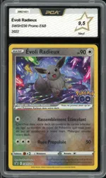 Auction visual on GCC