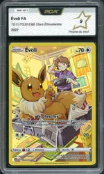 Auction visual on GCC