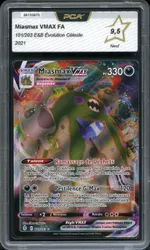 Auction visual on GCC