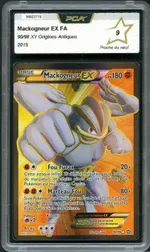 Auction visual on GCC