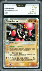 Auction visual on GCC