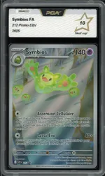 Auction visual on GCC