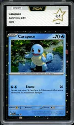 Auction visual on GCC