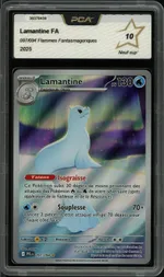 Auction visual on GCC