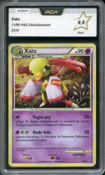 Auction visual on GCC