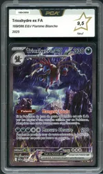 Auction visual on GCC