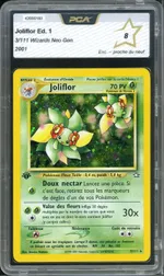 Auction visual on GCC