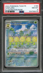 Auction visual on GCC