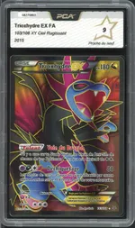 Auction visual on GCC