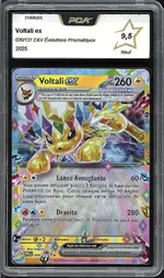 Auction visual on GCC