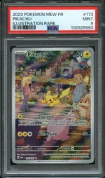 Auction visual on GCC