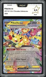 Auction visual on GCC