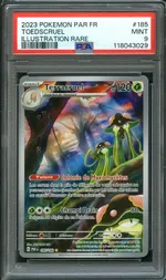 Auction visual on GCC